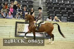 24BUCK_08653 thumbnail