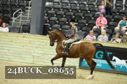 24BUCK_08655 thumbnail