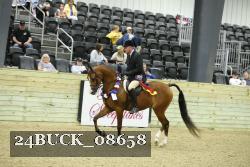 24BUCK_08658 thumbnail