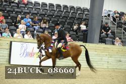 24BUCK_08660 thumbnail