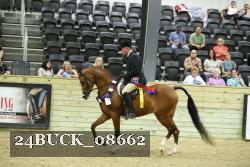 24BUCK_08662 thumbnail