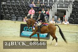 24BUCK_08666 thumbnail