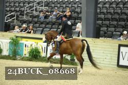 24BUCK_08668 thumbnail