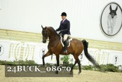 24BUCK_08670 thumbnail