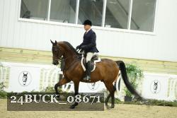 24BUCK_08671 thumbnail