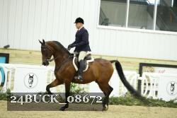 24BUCK_08672 thumbnail