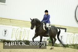 24BUCK_08673 thumbnail