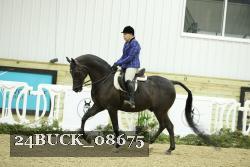 24BUCK_08675 thumbnail