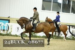 24BUCK_08677 thumbnail
