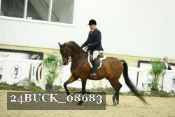 24BUCK_08683 thumbnail