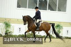 24BUCK_08684 thumbnail