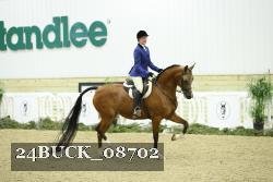 24BUCK_08702 thumbnail