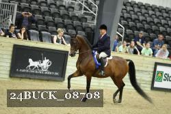 24BUCK_08708 thumbnail
