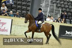 24BUCK_08709 thumbnail