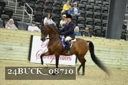24BUCK_08710 thumbnail