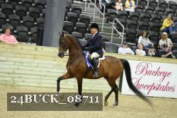 24BUCK_08711 thumbnail