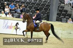 24BUCK_08712 thumbnail
