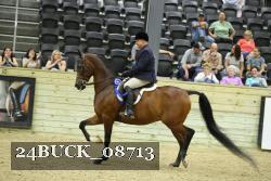 24BUCK_08713 thumbnail