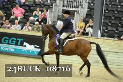 24BUCK_08716 thumbnail