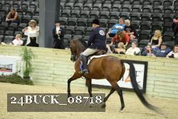 24BUCK_08718 thumbnail