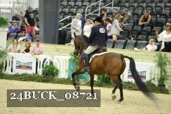 24BUCK_08721 thumbnail