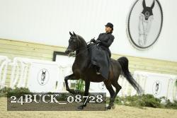 24BUCK_08728 thumbnail