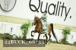 24BUCK_08733 thumbnail