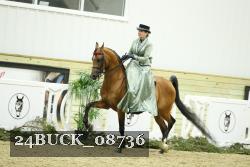 24BUCK_08736 thumbnail
