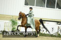 24BUCK_08737 thumbnail