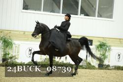 24BUCK_08739 thumbnail