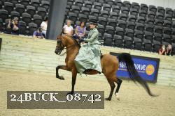24BUCK_08742 thumbnail