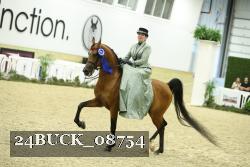24BUCK_08754 thumbnail