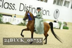 24BUCK_08755 thumbnail