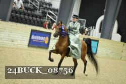 24BUCK_08756 thumbnail