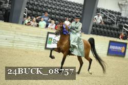 24BUCK_08757 thumbnail