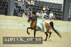 24BUCK_08760 thumbnail