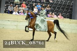 24BUCK_08761 thumbnail