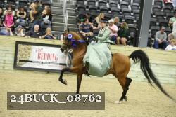 24BUCK_08762 thumbnail