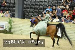 24BUCK_08765 thumbnail