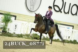 24BUCK_08771 thumbnail