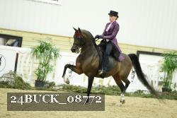 24BUCK_08772 thumbnail