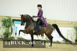 24BUCK_08774 thumbnail