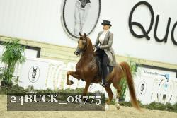 24BUCK_08775 thumbnail