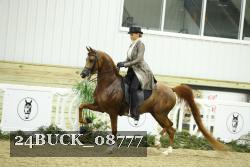 24BUCK_08777 thumbnail