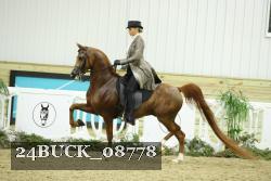 24BUCK_08778 thumbnail