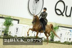 24BUCK_08779 thumbnail