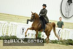 24BUCK_08780 thumbnail