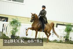 24BUCK_08781 thumbnail