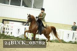 24BUCK_08782 thumbnail