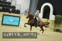 24BUCK_08785 thumbnail